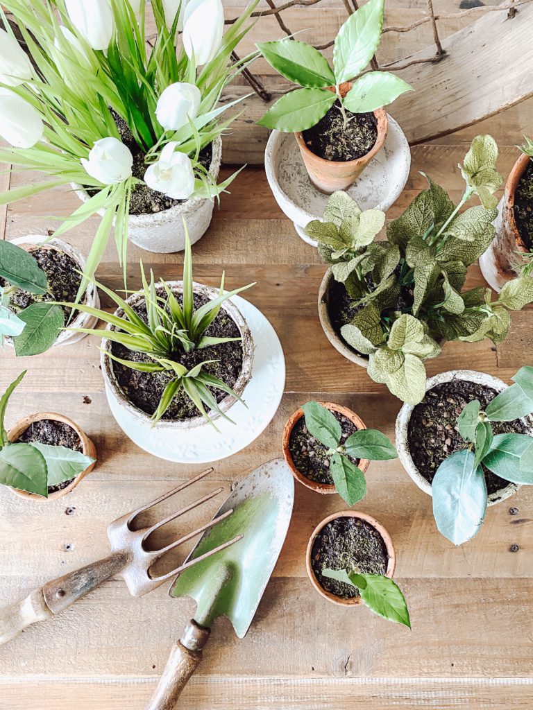 Where to Find Budget-Friendly Pots and Planters