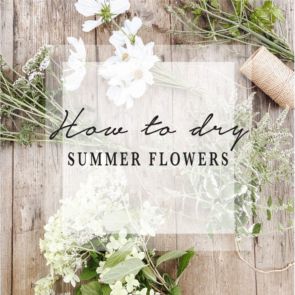 How to dry flowers, Blog