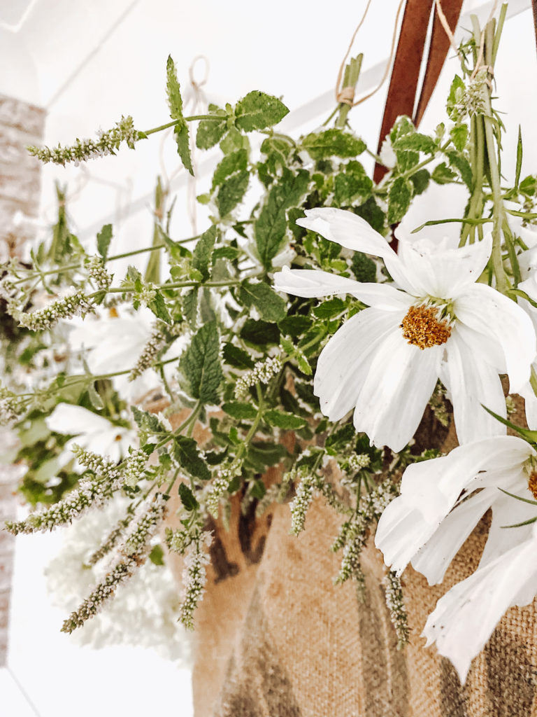 Dried Flowers vs Fresh Flowers: What are the Differences & Which