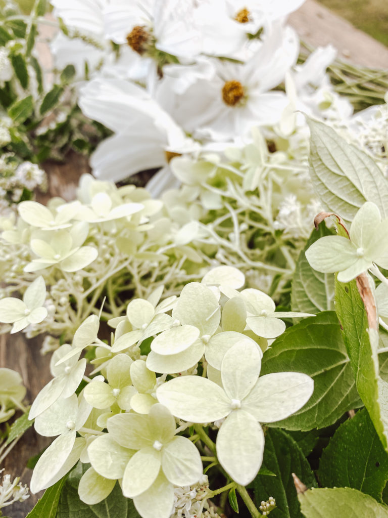 HOW TO DRY SUMMER FLOWERS – Making Home Matter