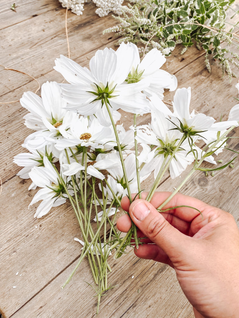 Best Flowers to Dry